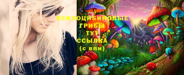 МДПВ Болотное