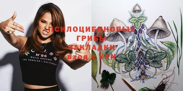 МДПВ Болотное