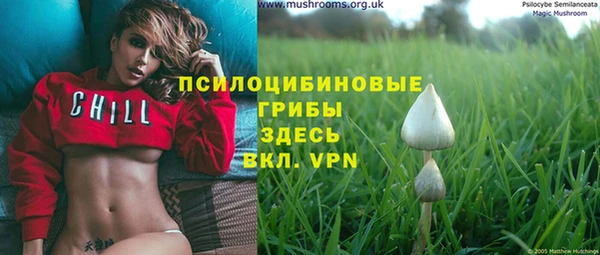 ПСИЛОЦИБИНОВЫЕ ГРИБЫ Киреевск