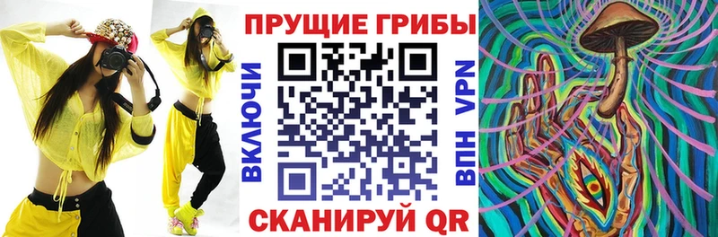 Псилоцибиновые грибы мухоморы  как найти   Киренск 